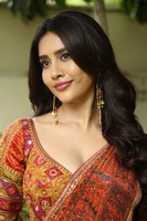 Nabha Natesh Interview Stills